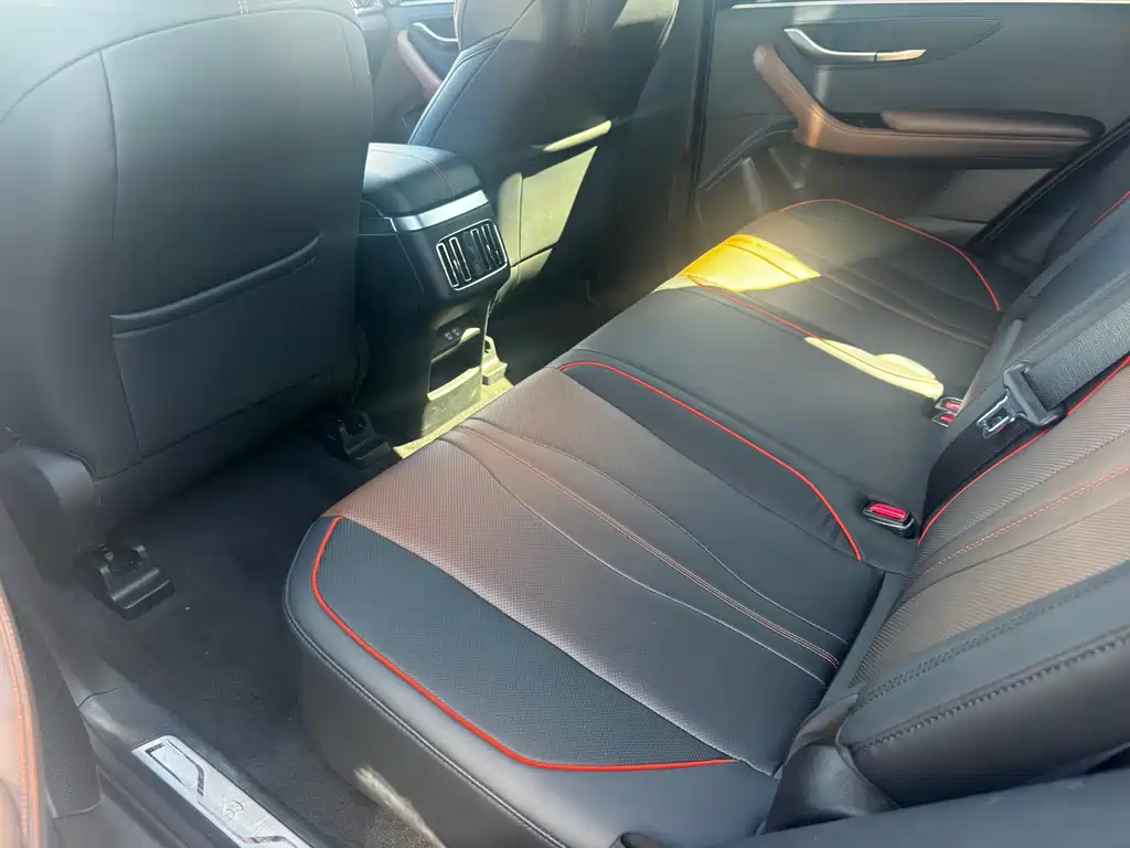 BYD PLUS — миниатюра 11