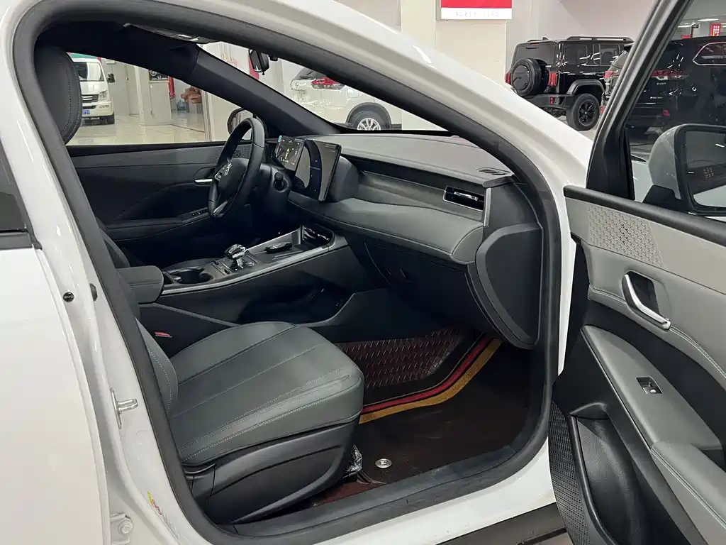 BYD Qin PLUS — миниатюра 12