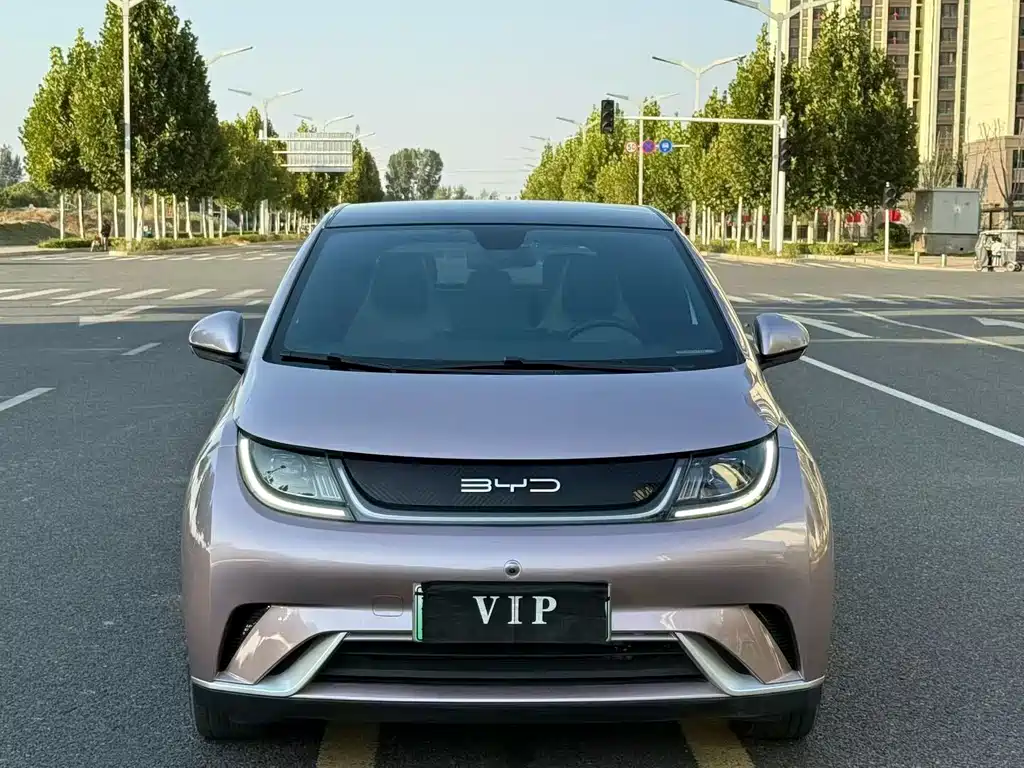 BYD Dolphin — миниатюра 2