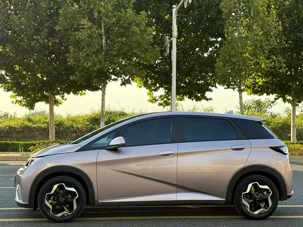 BYD Dolphin — миниатюра 3