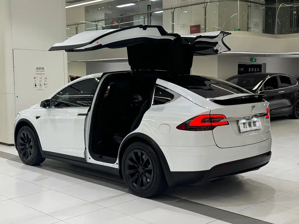 Tesla Model X — миниатюра 4