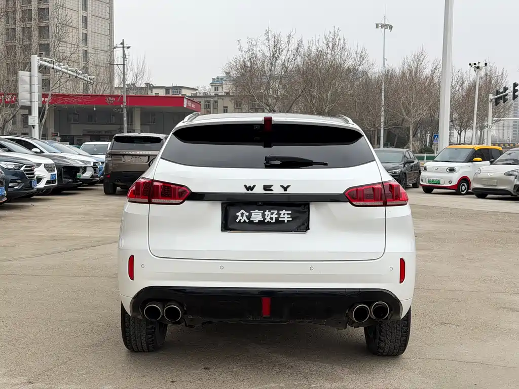 WEI PAI WEI BRAND VV5