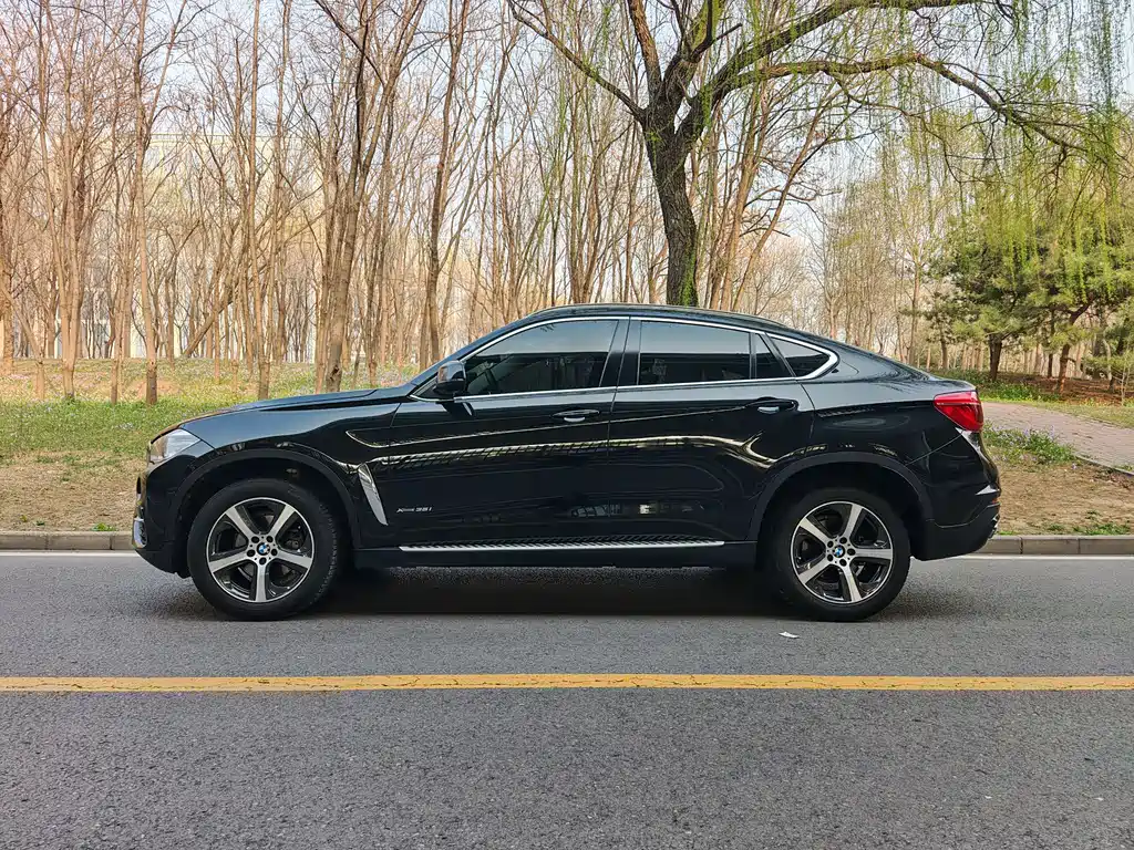 BMW X6 2015 xDrive35i Luxury