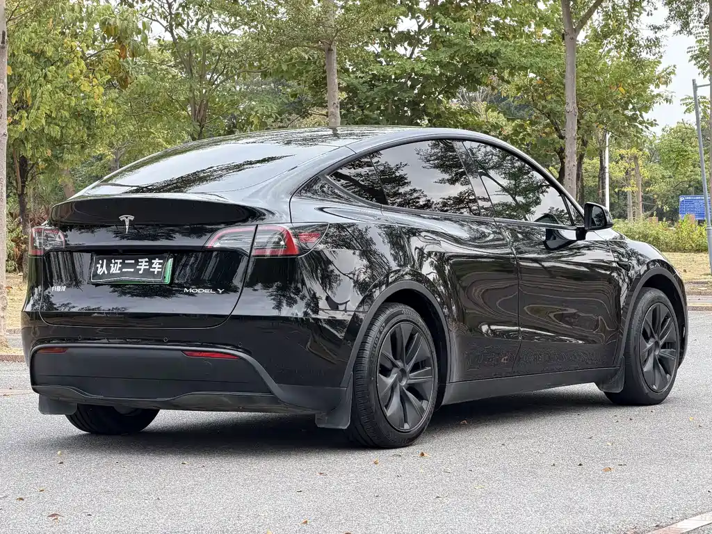Tesla Model Y — миниатюра 7
