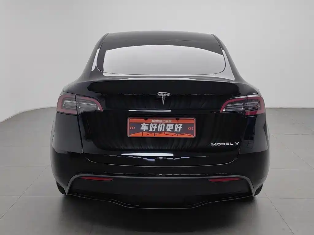 Tesla Model Y — миниатюра 4