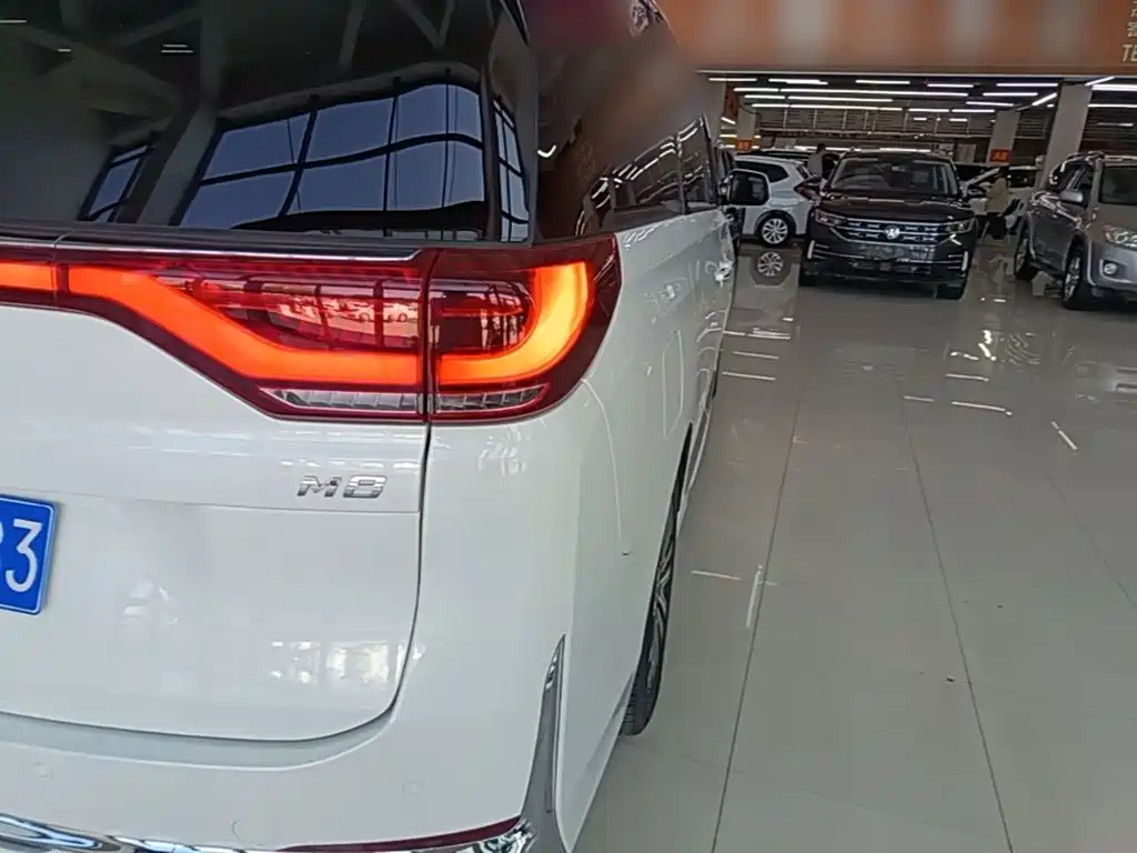 GAC Motor Trumpchi M8 — миниатюра 8