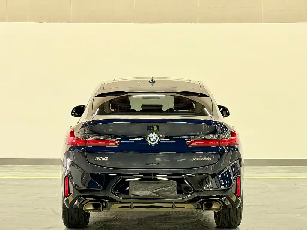 BMW X4 — миниатюра 10