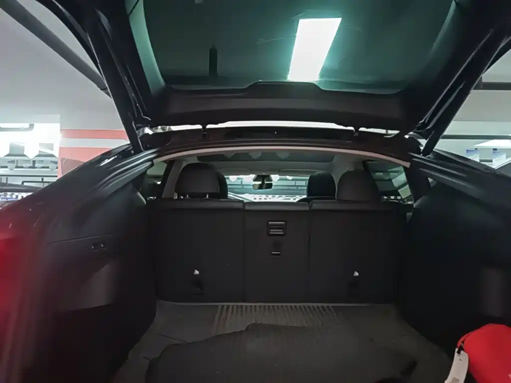 Tesla Model Y — миниатюра 19