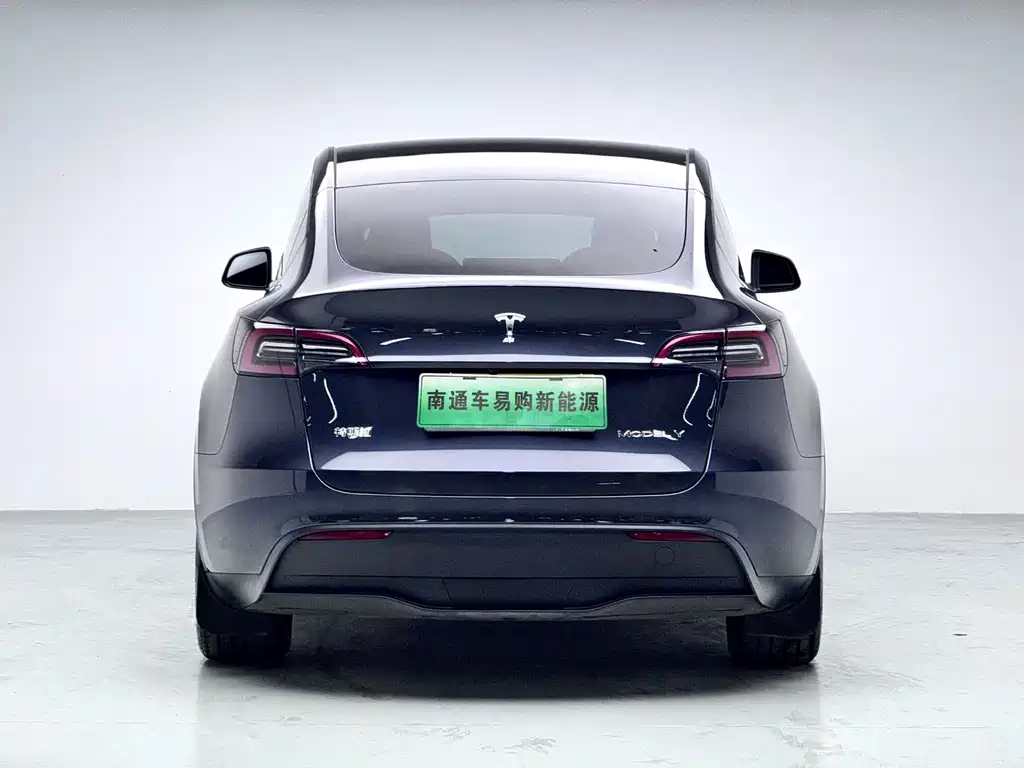 Tesla Model Y — миниатюра 5