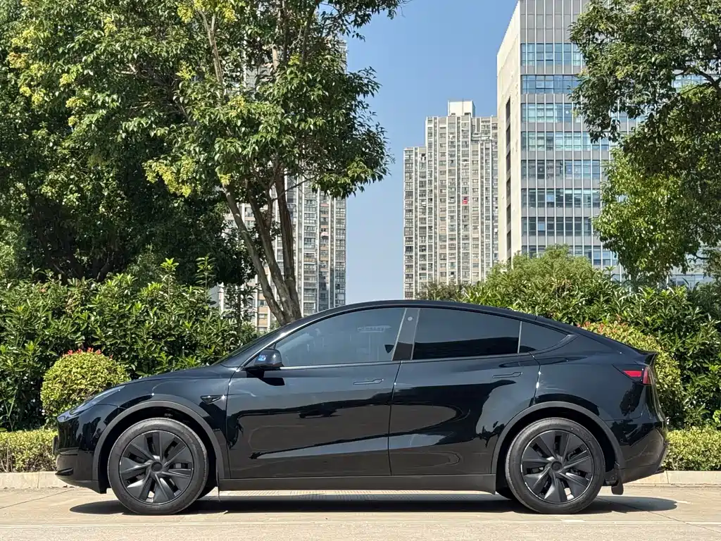 Tesla Model Y — миниатюра 3