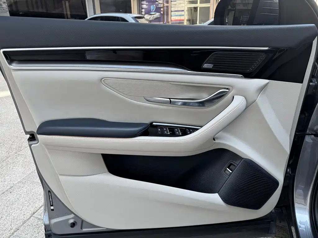 BYD PLUS New Energy — миниатюра 11