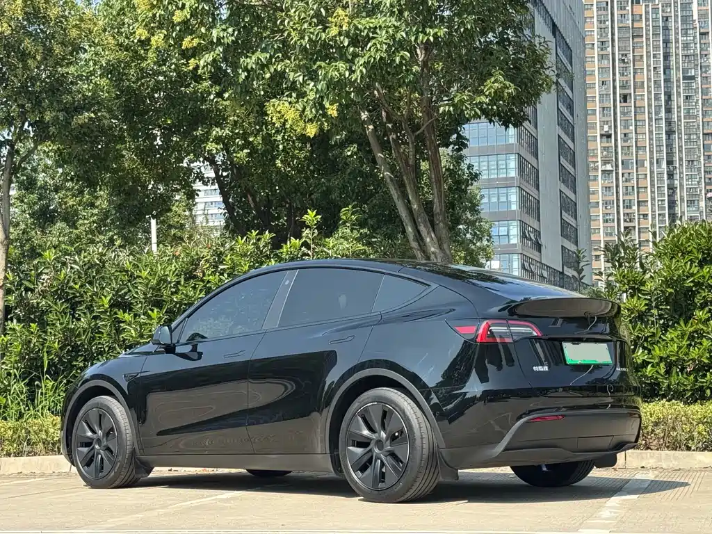 Tesla Model Y — миниатюра 14
