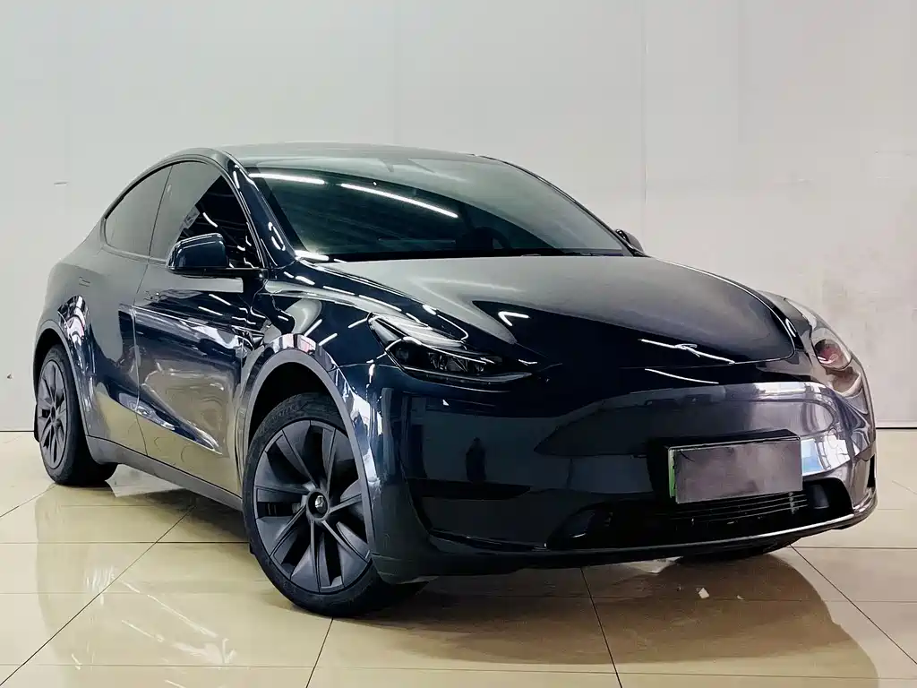 Tesla Model Y — миниатюра 3