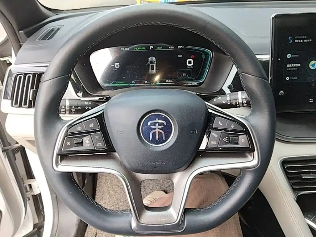 BYD PLUS New Energy — миниатюра 11