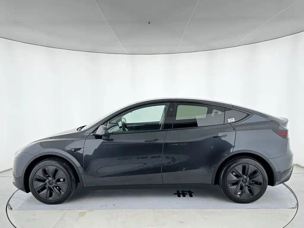 Tesla Model Y — миниатюра 4