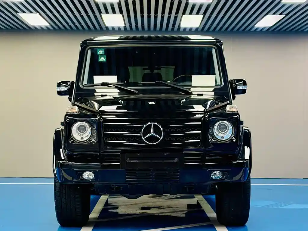 Mercedes-Benz G-Class G 2010 G 500