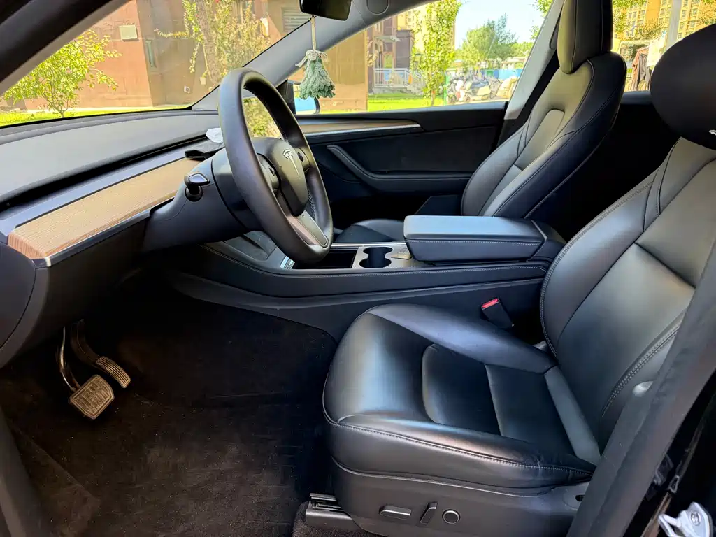Tesla Model Y — миниатюра 5