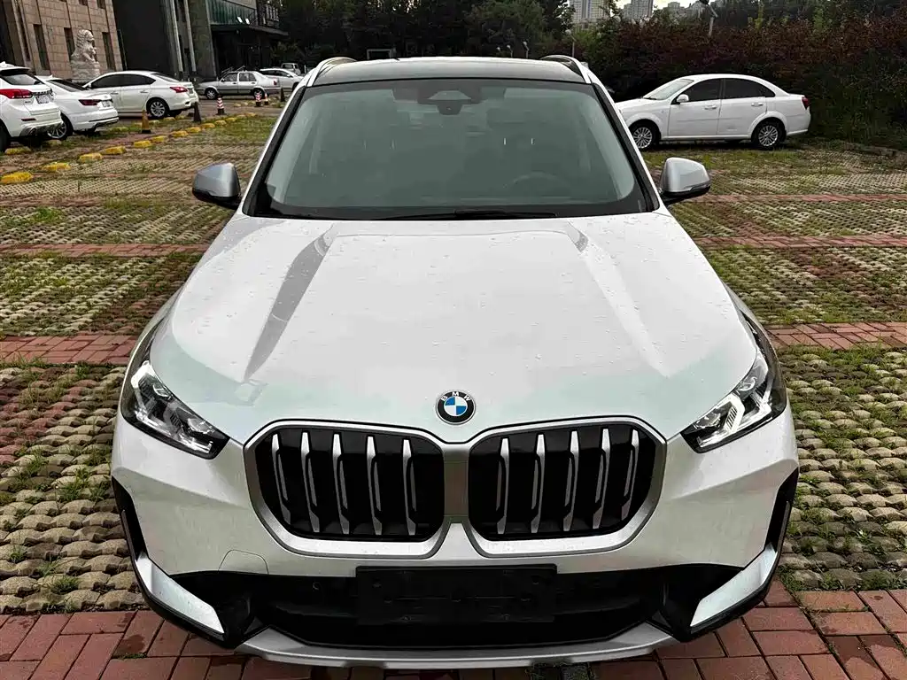 BMW X1 — миниатюра 2