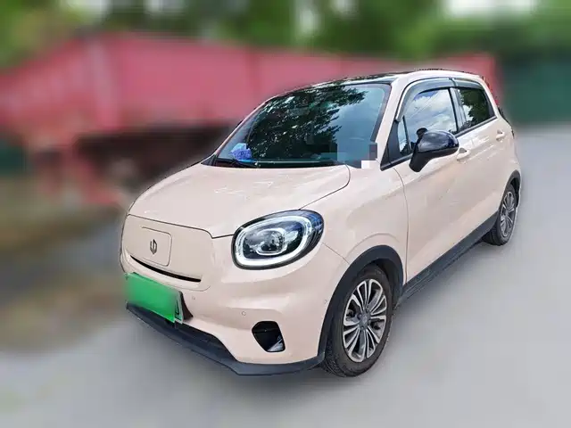 2021 Leapmotor T03