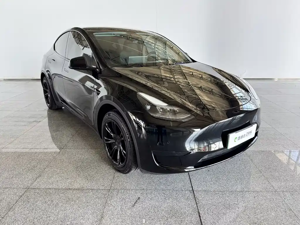 Tesla Model Y — миниатюра 14