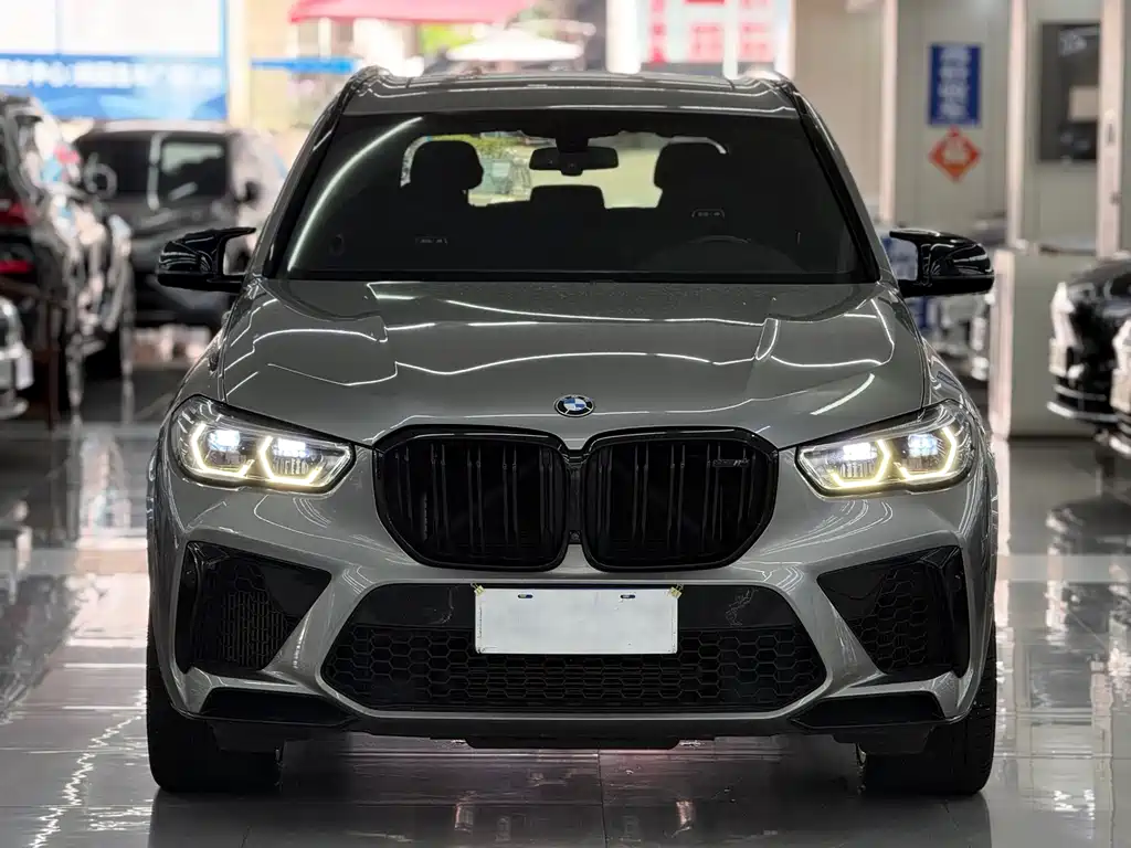 BMW X5 M — миниатюра 2