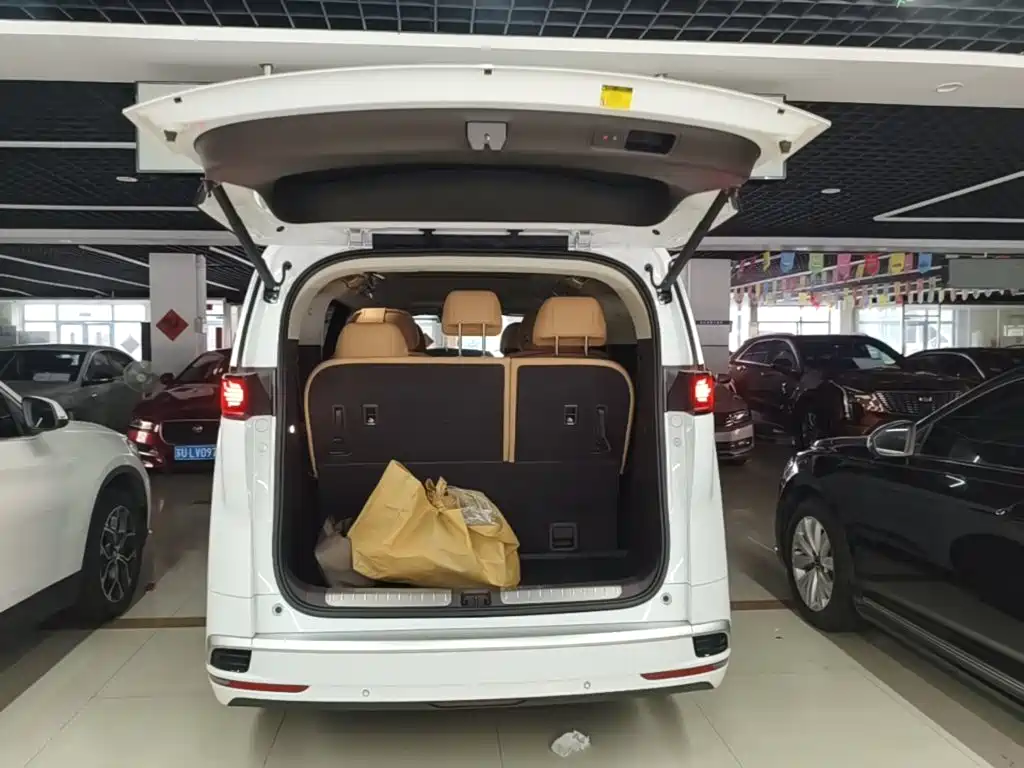 Denza Denza D9 — миниатюра 19