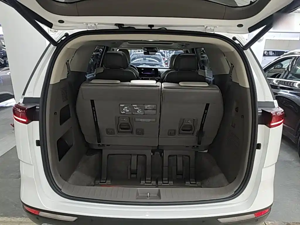 Kia Carnival — миниатюра 15