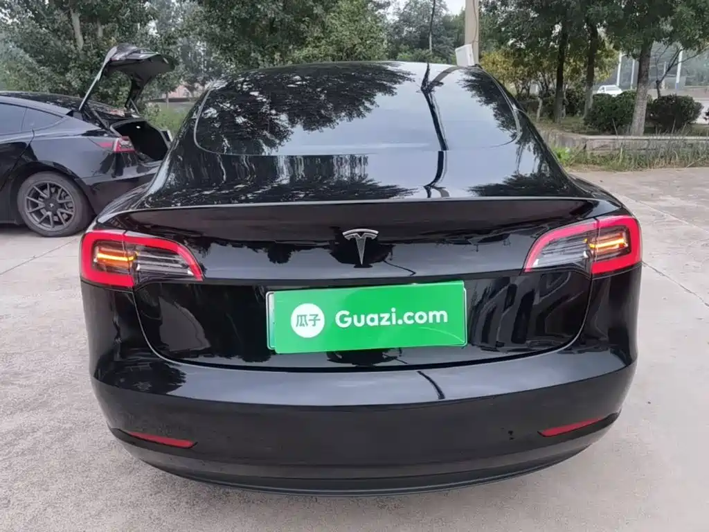 Tesla Model 3 — миниатюра 6