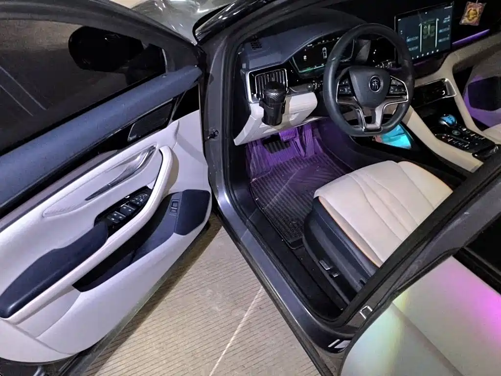 BYD PLUS New Energy — миниатюра 17