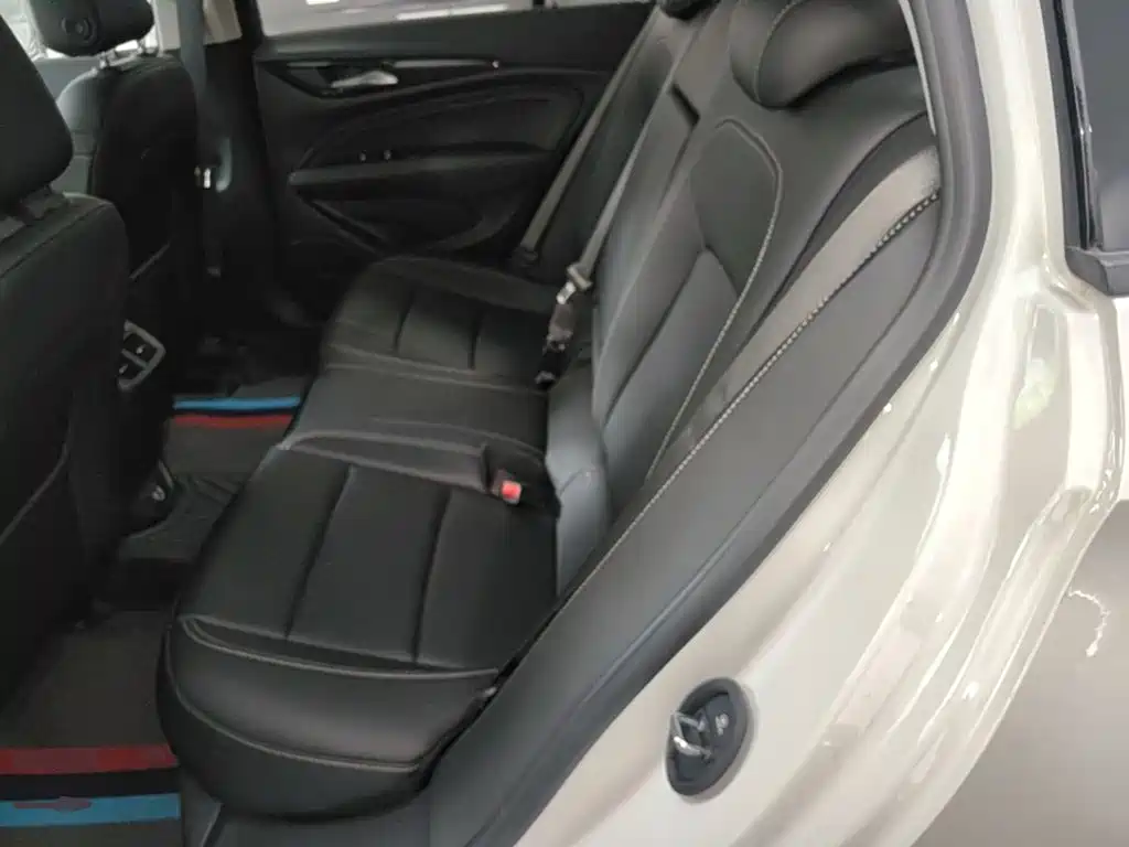 Buick Regal — миниатюра 17