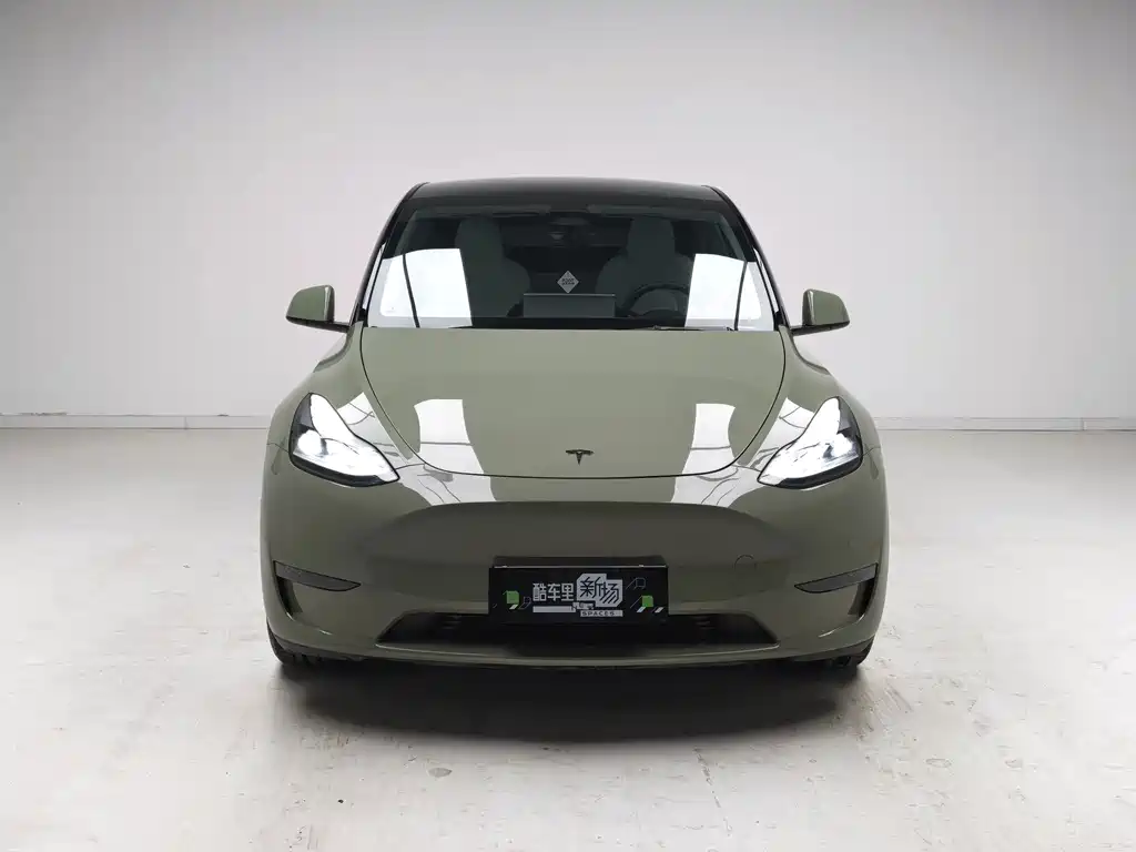 Tesla Model Y — миниатюра 2