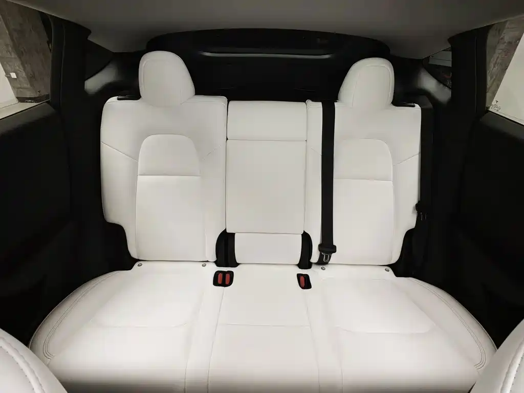 Tesla Model Y — миниатюра 17