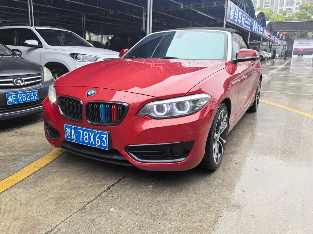 BMW 2 Series (Import) 2021