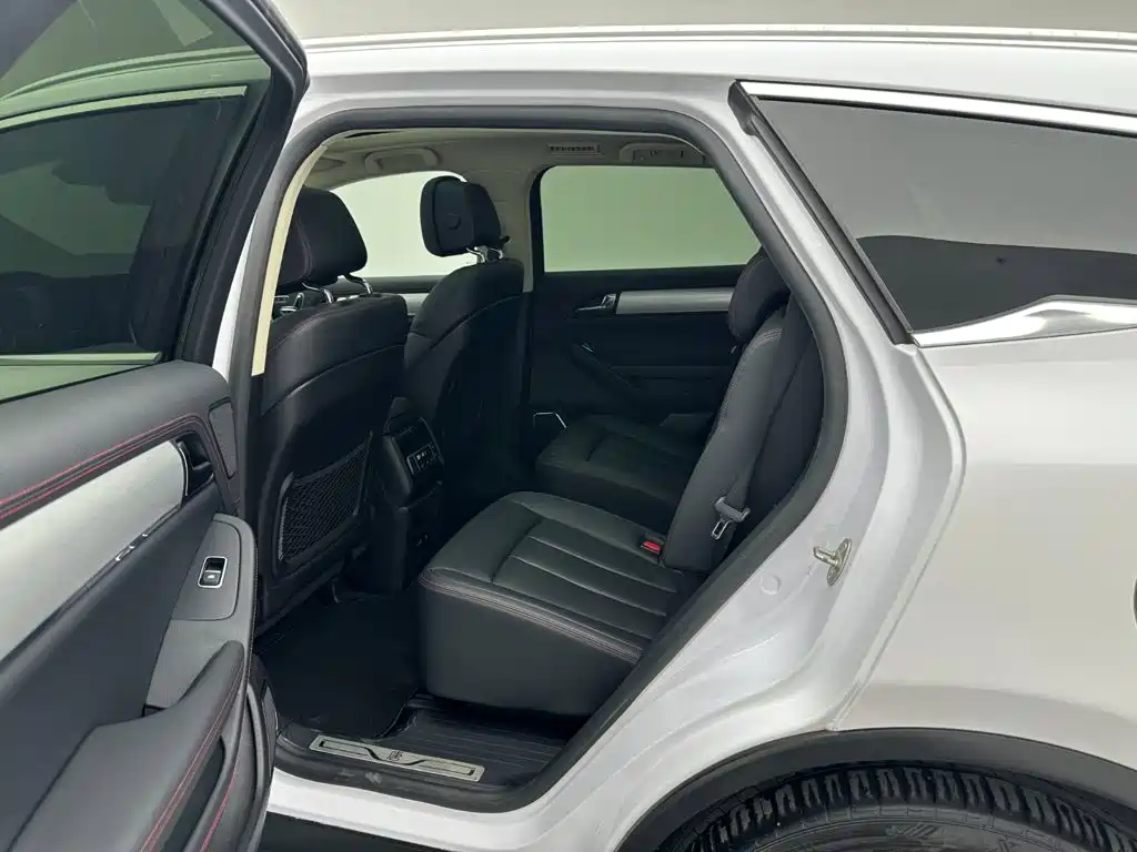 BYD Tang New Energy — миниатюра 18