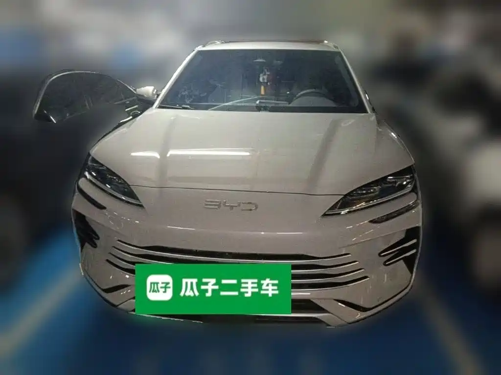BYD PLUS New Energy — миниатюра 2