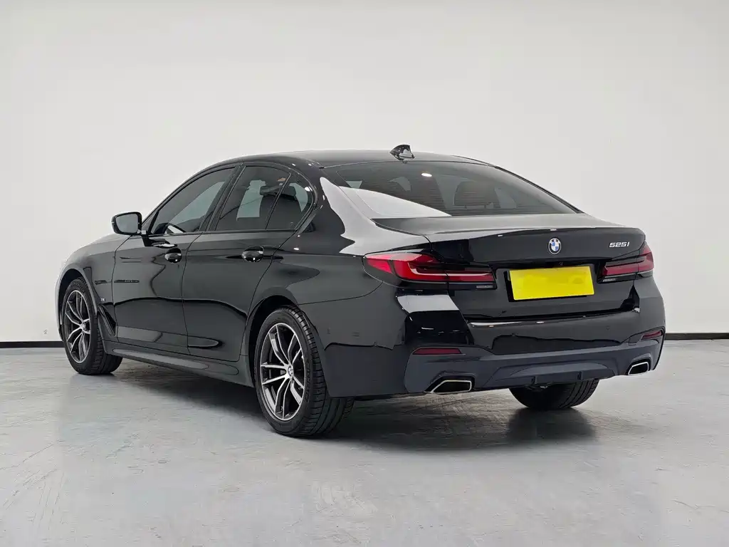 BMW 5 Series (Import) — миниатюра 5