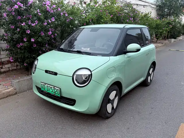 2022 Changan Lumin