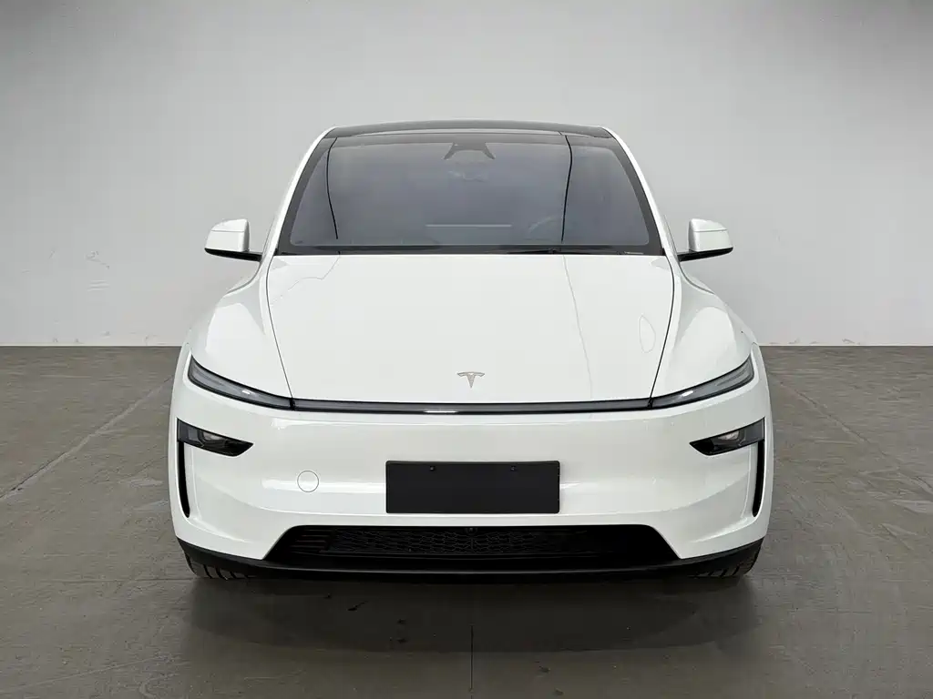 Tesla Model Y — миниатюра 2