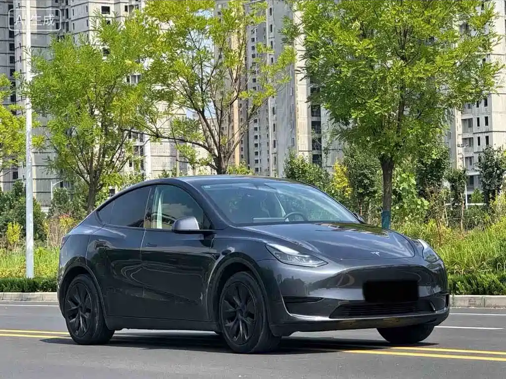 Tesla Model Y — миниатюра 3