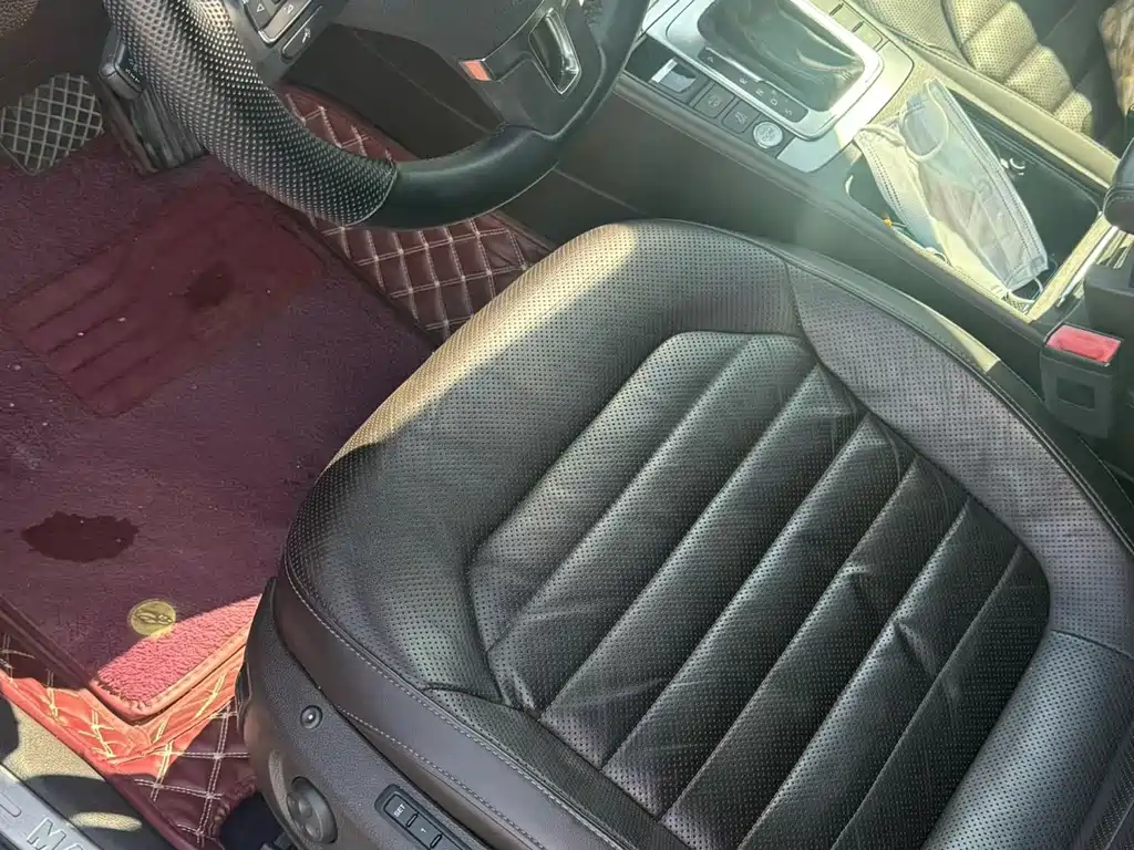 Volkswagen Magotan (Import) — миниатюра 7