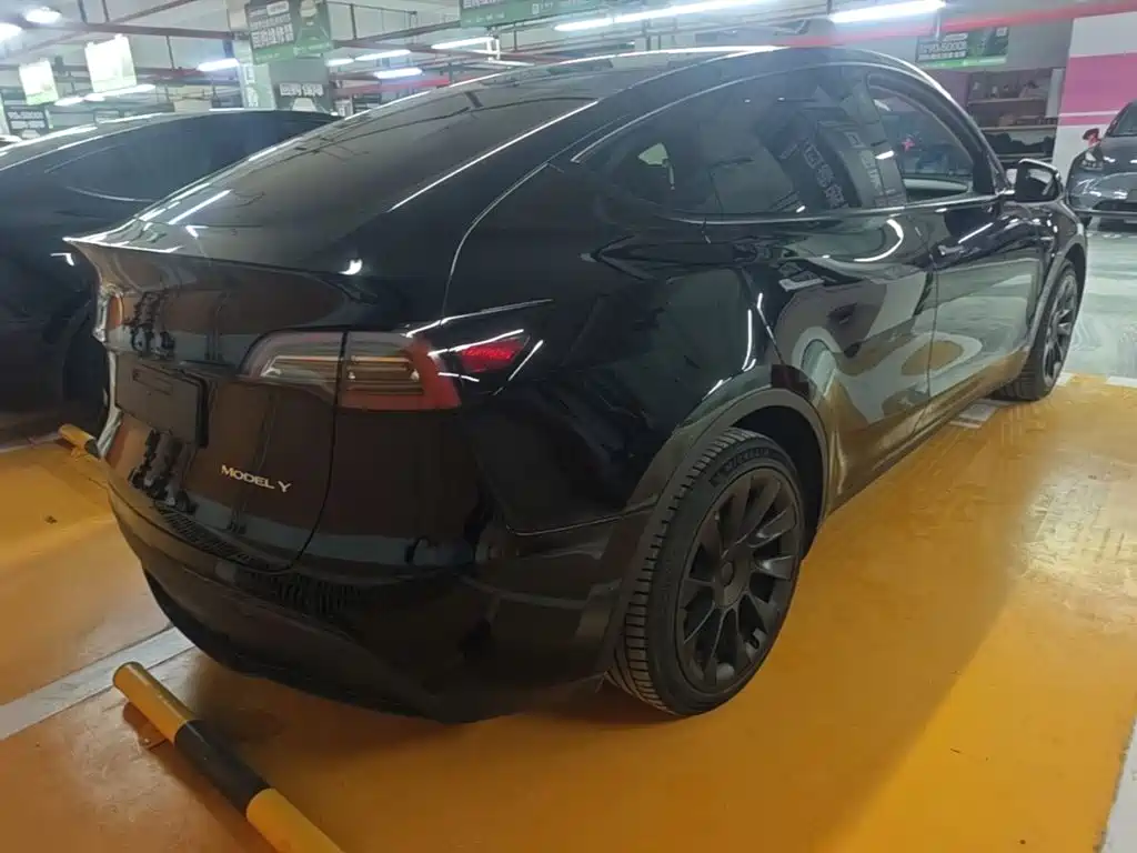 Tesla Model Y — миниатюра 7