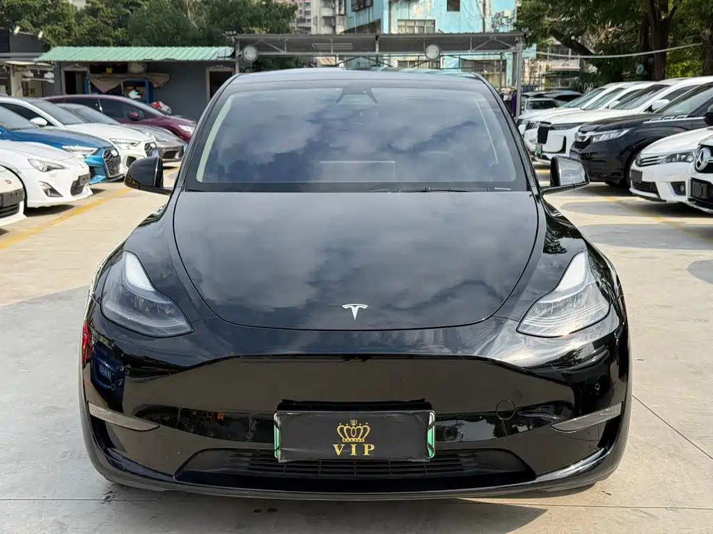 Tesla Model Y — миниатюра 2