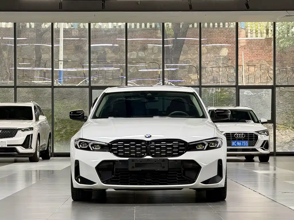 BMW 3 Series — миниатюра 2