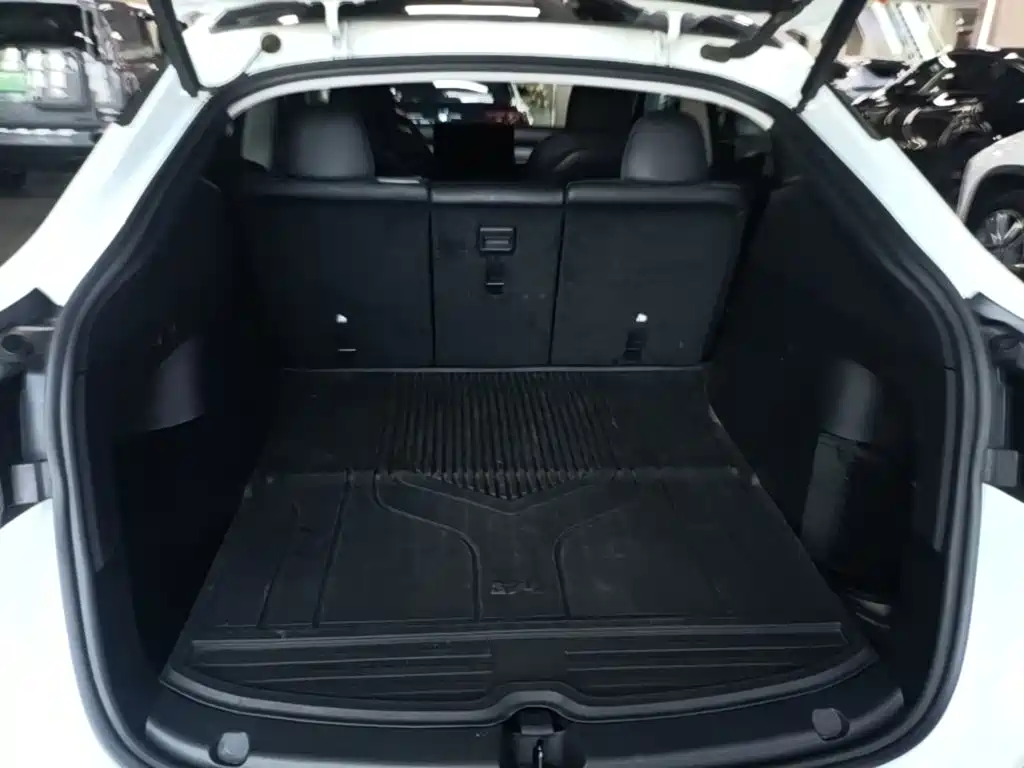 Tesla Model Y — миниатюра 19