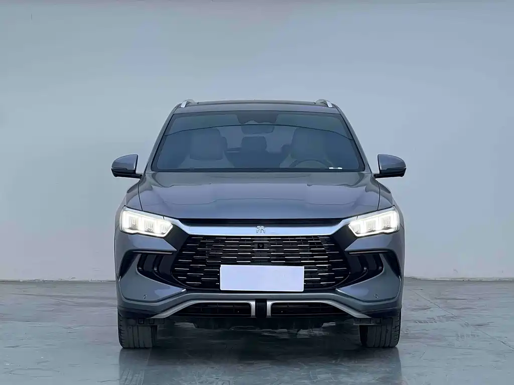 BYD Pro New Energy — миниатюра 2