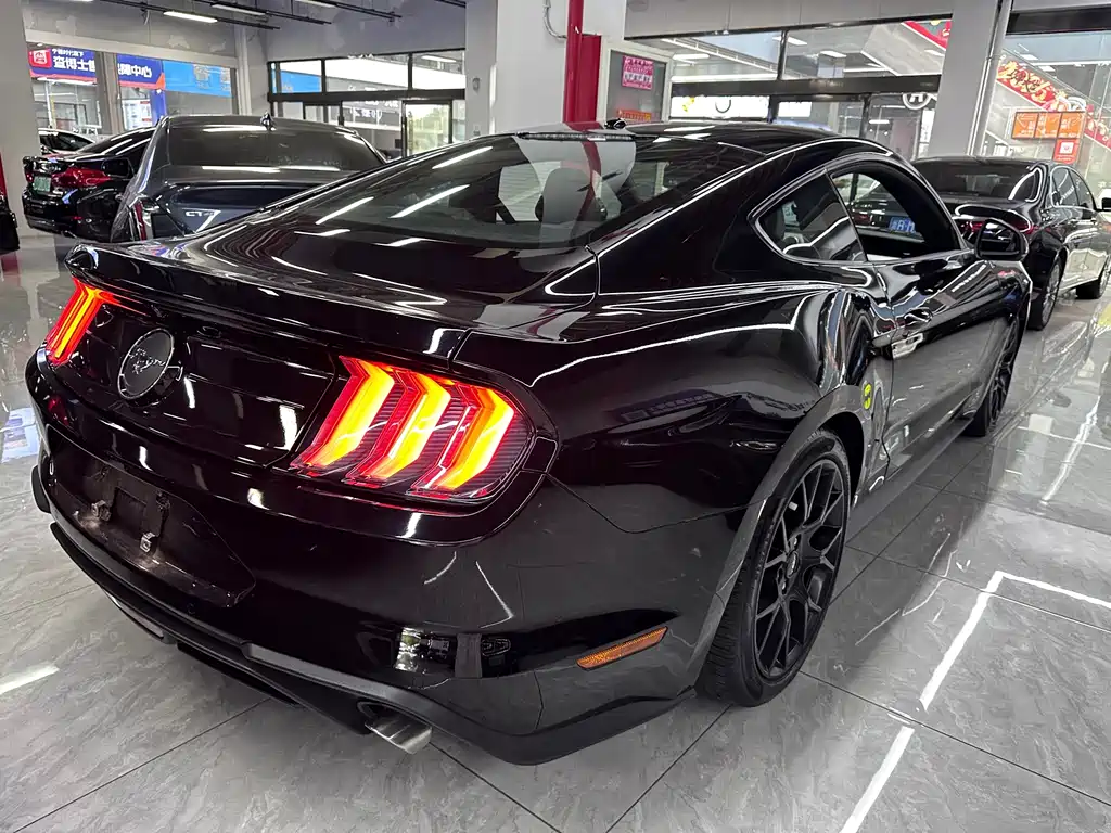 Ford Mustang — миниатюра 10