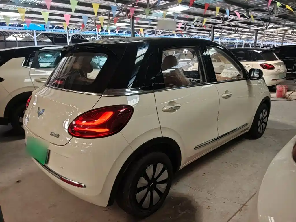 Wuling Binguo 2025 333km Enjoy