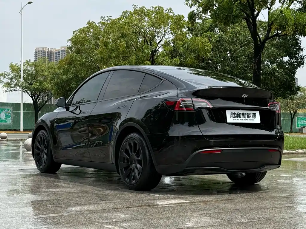 Tesla Model Y — миниатюра 6
