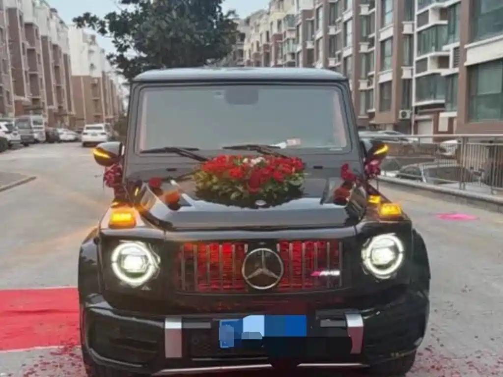 Mercedes-Benz G-Class G 2010 G 500