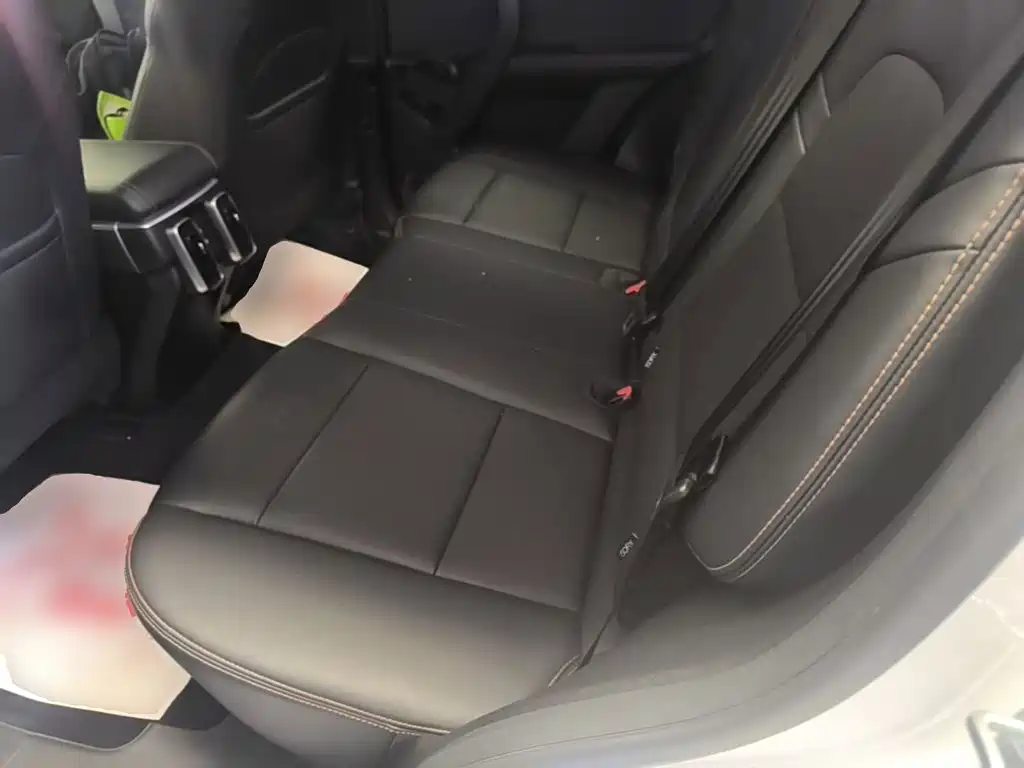 Haval Big Dog — миниатюра 17